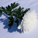 화수로14번길 이미지