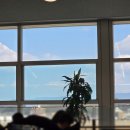 오렌지뽑기방 이미지