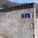 금포2길 Daum카페