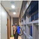 강남구청소 깨끗한 공간의 힘: 다올클린 후기