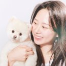 세이렌스튜디오 네이버블로그