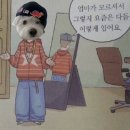 회사가라 이미지