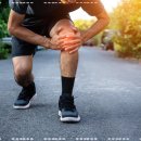 야탑역.종합버스터미널(후면) 이미지