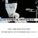 펫부자