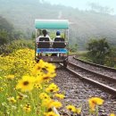 아산온천로 이미지