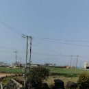 일과리-2 이미지