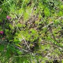 인보목장 이미지