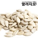 씨 이미지