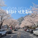 계룡주유소 | 공주 동학사벚꽃축제 계룡산 명소 기간 주차