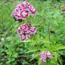 방축농장 이미지