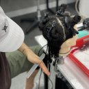 [4분기] 헤어생활미용 및 헤어자격증반 | 일산미용학원 실습 환경과 디자이너 준비 후기!