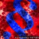 당신의법무사사무소 - 3630 | 개인회생변호사, 부산개인회생파산 이문기법무사사무소 빚 때문에 잠 못 이룬 당신께
