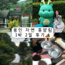고림로74번길 | [용인자연휴양림]체험골 1 숙박 후기, 캐리비안베이 10분거리 숙소 추천, 국립공원 캠핑장 야영장 추천...