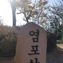 율동주유소 이미지