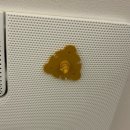 러블리마이펫 이미지