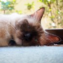 코비한의원 이미지