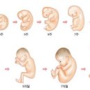 유미테라피 네이버블로그