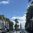 뚜벅이 | 뉴질랜드 뚜벅이 여행 후기 8편 북섬 기즈본