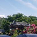 카페803 이미지