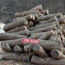 황간참숯마을 이미지