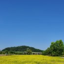 강매동 석교 이미지