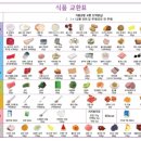서현숲가정의학과의원 이미지