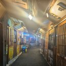 영심이네 | 충무로 영심이네 방문후기