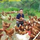 태은농장 네이버블로그