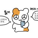 톰앨리스