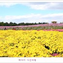 드림파크 이미지