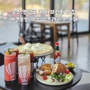 속초 영랑호 카페 브런치 맛집 애견동반 가능 심플레이스 카페