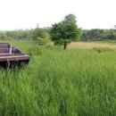 나무고아원 이미지