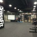 크로스핏 핏불 이미지