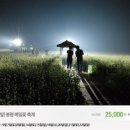 메밀꽃 필 무렵 이미지