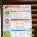 피노키오 자연휴양림 야영장 | 정선 가리왕산자연휴양림 야영장 후기 | 완벽한 계획, 그런데 텐트가 없다 [🏕️ 캠핑/정선]