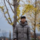 캠토대화점 | 백패킹 성지 강천섬 에서 마지막 단풍캠핑 을.. (10.31 ~ 11. 1)