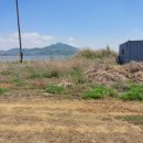 김문주공인중개사사무소 이미지