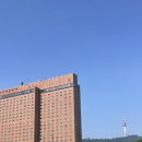 [대외활동]- 2024 ALC 아시안리더십컨퍼런스 서포터즈 후기