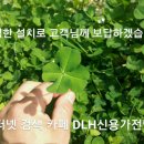 신용세탁소 이미지