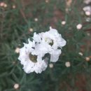 경상남도 수목원(열대식물원) 이미지