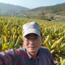 김용환농장 이미지