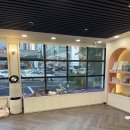 달링하이 포항점 이미지