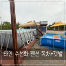 수선화펜션가족단체독채갯벌체험 | 태안 맛조개 꿀팁 수선화 독채펜션 수영장 까지 내돈내산