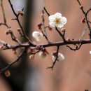 세연휘트니스헬스 이미지