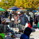 강서구-26 이미지