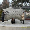 먹거리과일