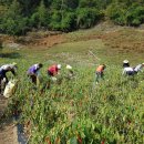 공원관리사업소 이미지