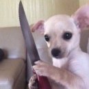 노가리풍년 이미지