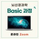 뇌신경해부학 Basic 과정 (온라인) 이미지
