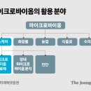 똥’이 치매도 암도 고친다? 미생물 개척 나선 기업 3곳 이미지